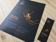 Cave Animal of the Year Posters and Bookmarks