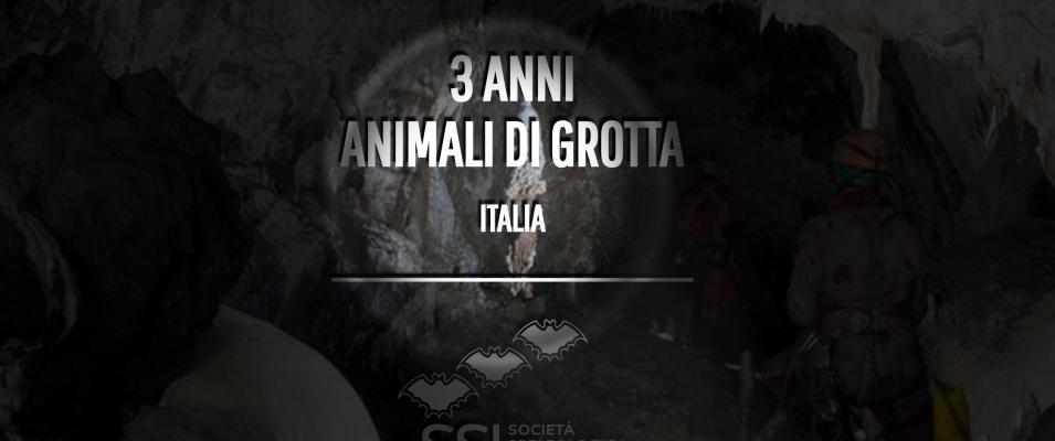 Italian Cave Animal of the Year Website screenshot